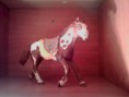 /album/fotogaleria/a31444-339014876207394-1420545679-n-jpg/