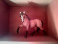 /album/fotogaleria/a46868-339015056207376-892893833-n-jpg/