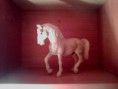 /album/fotogaleria/a64441-339015049540710-882467641-n-jpg/