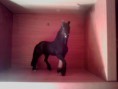/album/fotogaleria/a72908-339015039540711-1991509595-n-jpg/